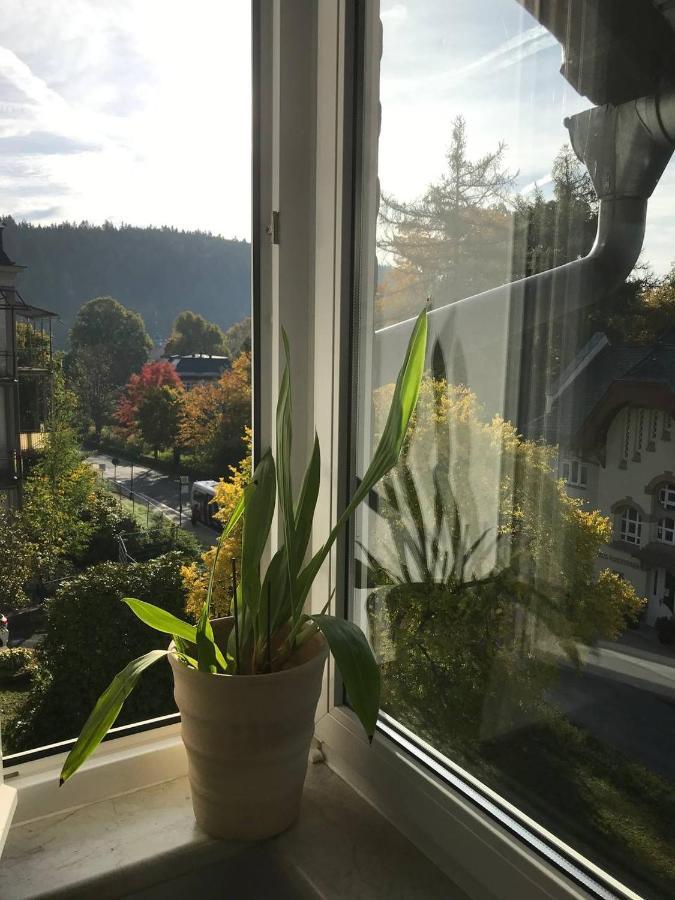 Ferienwohnung In Villa Bad Elster Eksteriør bilde